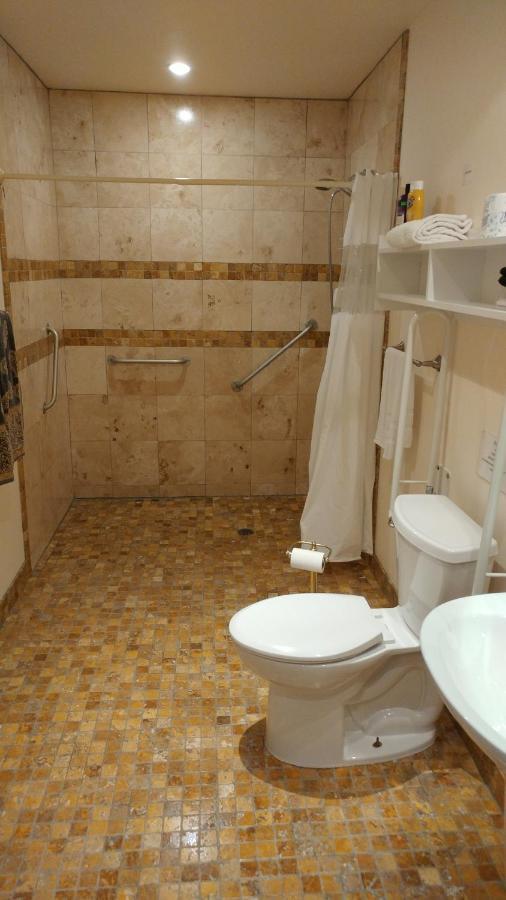 Lionheart B&B Lions Head Ngoại thất bức ảnh